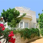 Adonis Castalia-brezos Apartment Costa Adeje (Tenerife)
