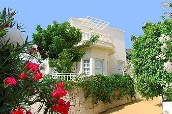 Adonis Castalia-brezos Apartment Costa Adeje (Tenerife)